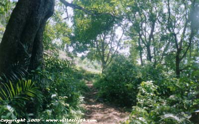 En haut de la colline