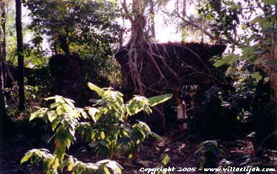les ruines du fortin anglais